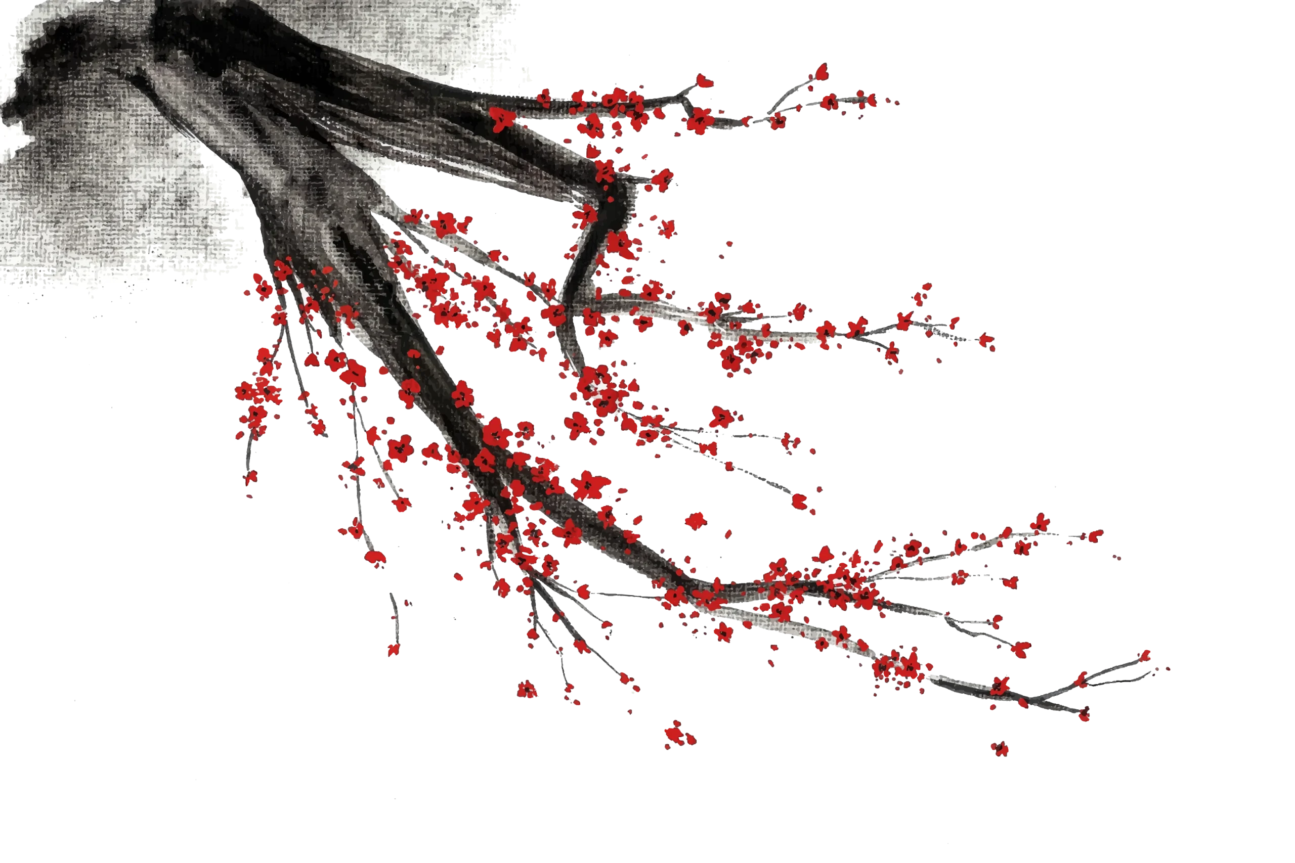 6306a06f1fe02b3b5b3b125b8f82c6cfd54f5384 scaled